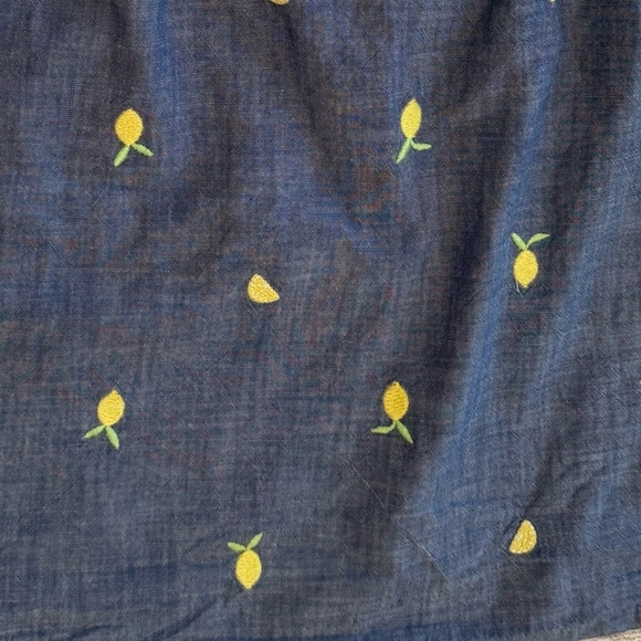 GYMBOREE Charming Kids Lemon Print Dress - Yellow & Blue/size 12 - Picture 5 of 10